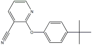 2-(4-tert-butylphenoxy)pyridine-3-carbonitrile Struktur