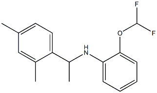 2-(difluoromethoxy)-N-[1-(2,4-dimethylphenyl)ethyl]aniline Struktur