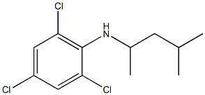 2,4,6-trichloro-N-(4-methylpentan-2-yl)aniline Struktur