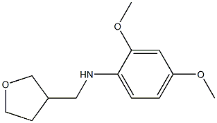 2,4-dimethoxy-N-(oxolan-3-ylmethyl)aniline Struktur