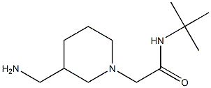 2-[3-(aminomethyl)piperidin-1-yl]-N-tert-butylacetamide Struktur