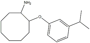 2-[3-(propan-2-yl)phenoxy]cyclooctan-1-amine Struktur