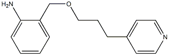 2-{[3-(pyridin-4-yl)propoxy]methyl}aniline Struktur