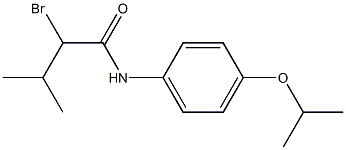 2-bromo-3-methyl-N-[4-(propan-2-yloxy)phenyl]butanamide Struktur