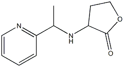 3-{[1-(pyridin-2-yl)ethyl]amino}oxolan-2-one Struktur