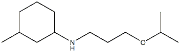 3-methyl-N-[3-(propan-2-yloxy)propyl]cyclohexan-1-amine Struktur