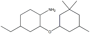 4-ethyl-2-[(3,3,5-trimethylcyclohexyl)oxy]cyclohexan-1-amine Struktur