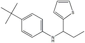 4-tert-butyl-N-[1-(thiophen-2-yl)propyl]aniline Struktur