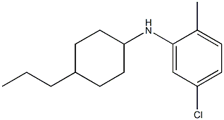 5-chloro-2-methyl-N-(4-propylcyclohexyl)aniline Struktur