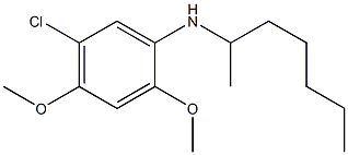 5-chloro-N-(heptan-2-yl)-2,4-dimethoxyaniline Struktur