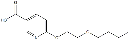 6-(2-butoxyethoxy)pyridine-3-carboxylic acid Struktur