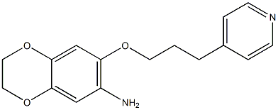 7-[3-(pyridin-4-yl)propoxy]-2,3-dihydro-1,4-benzodioxin-6-amine Struktur