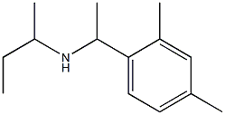 butan-2-yl[1-(2,4-dimethylphenyl)ethyl]amine Struktur