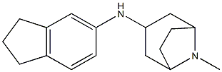 N-(2,3-dihydro-1H-inden-5-yl)-8-methyl-8-azabicyclo[3.2.1]octan-3-amine Struktur