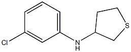 N-(3-chlorophenyl)thiolan-3-amine Struktur