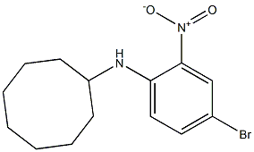 N-(4-bromo-2-nitrophenyl)cyclooctanamine Struktur