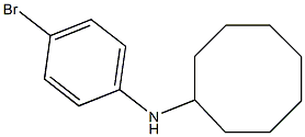 N-(4-bromophenyl)cyclooctanamine Struktur