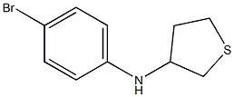 N-(4-bromophenyl)thiolan-3-amine Struktur