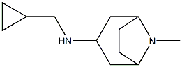 N-(cyclopropylmethyl)-8-methyl-8-azabicyclo[3.2.1]octan-3-amine Struktur