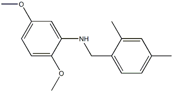 N-[(2,4-dimethylphenyl)methyl]-2,5-dimethoxyaniline Struktur