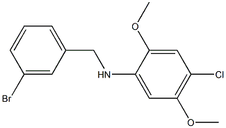 N-[(3-bromophenyl)methyl]-4-chloro-2,5-dimethoxyaniline Struktur