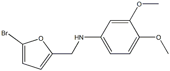 N-[(5-bromofuran-2-yl)methyl]-3,4-dimethoxyaniline Struktur