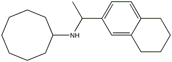 N-[1-(5,6,7,8-tetrahydronaphthalen-2-yl)ethyl]cyclooctanamine Struktur