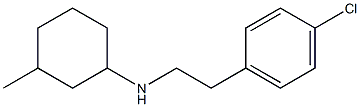 N-[2-(4-chlorophenyl)ethyl]-3-methylcyclohexan-1-amine Struktur