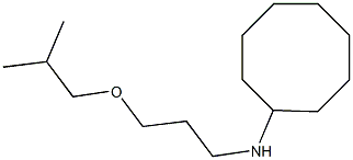 N-[3-(2-methylpropoxy)propyl]cyclooctanamine Struktur