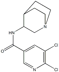 N-{1-azabicyclo[2.2.2]octan-3-yl}-5,6-dichloropyridine-3-carboxamide Struktur