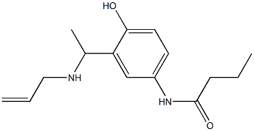 N-{4-hydroxy-3-[1-(prop-2-en-1-ylamino)ethyl]phenyl}butanamide Struktur