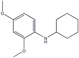 N-cyclohexyl-2,4-dimethoxyaniline Struktur