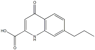 7-Propyl-1,4-dihydro-4-oxoquinoline-2-carboxylic acid Struktur