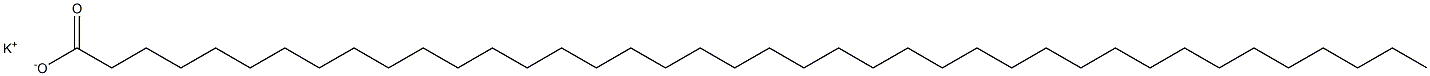 Tetracontanoic acid potassium salt Struktur