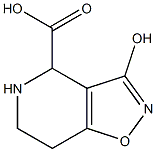 4,5,6,7-Tetrahydro-3-hydroxyisoxazolo[4,5-c]pyridine-4-carboxylic acid Struktur