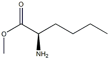 D-Norleucine methyl ester Struktur