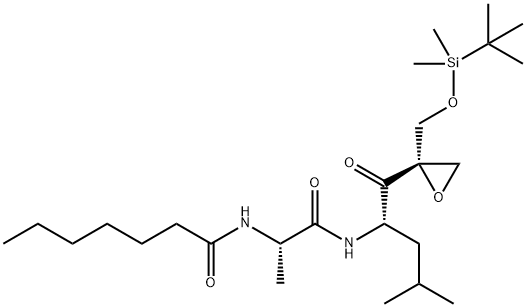 UK-101 Struktur