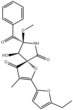 FD-838 Struktur