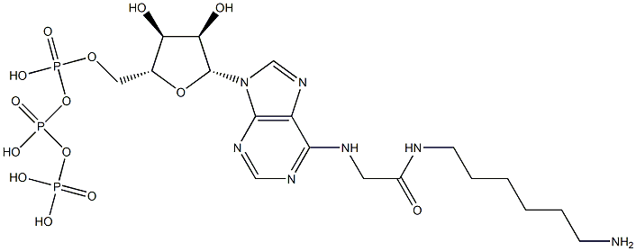 N(6)-((6-aminohexyl)carbamoylmethyl)ATP Struktur