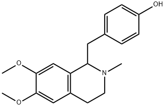 armepavine Struktur