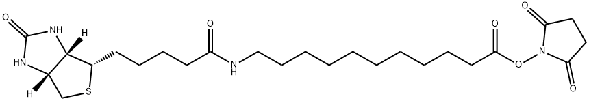 Biotin-SLC-NHS Struktur