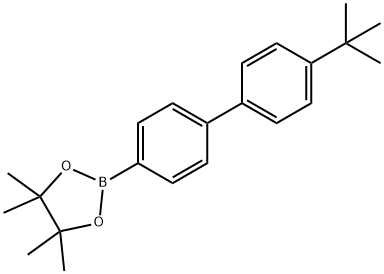 4'-tert-butyl)-[1,1'-biphenyl]-4-yl)boronic acid Struktur