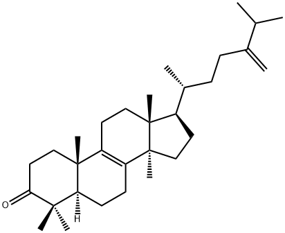 24-Methylenelanosta-8-ene-3β-one Struktur