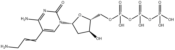 aa-dCTP Struktur