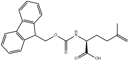  化學(xué)構(gòu)造式