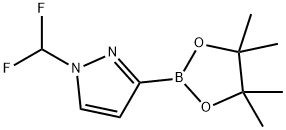 1-(difluoromethyl)-3-(tetramethyl-1,3,2-dioxaborolan-2-yl)-1H-pyrazole Struktur