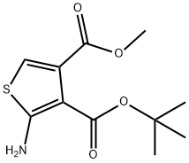 3,4-Thiophenedicarboxylic acid, 2-amino-, 3-(1,1-dimethylethyl) 4-methyl ester Struktur