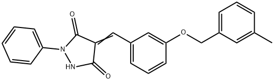 Y16 Struktur