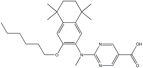 PA 452 Struktur