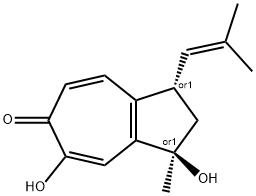 Chanootin Struktur